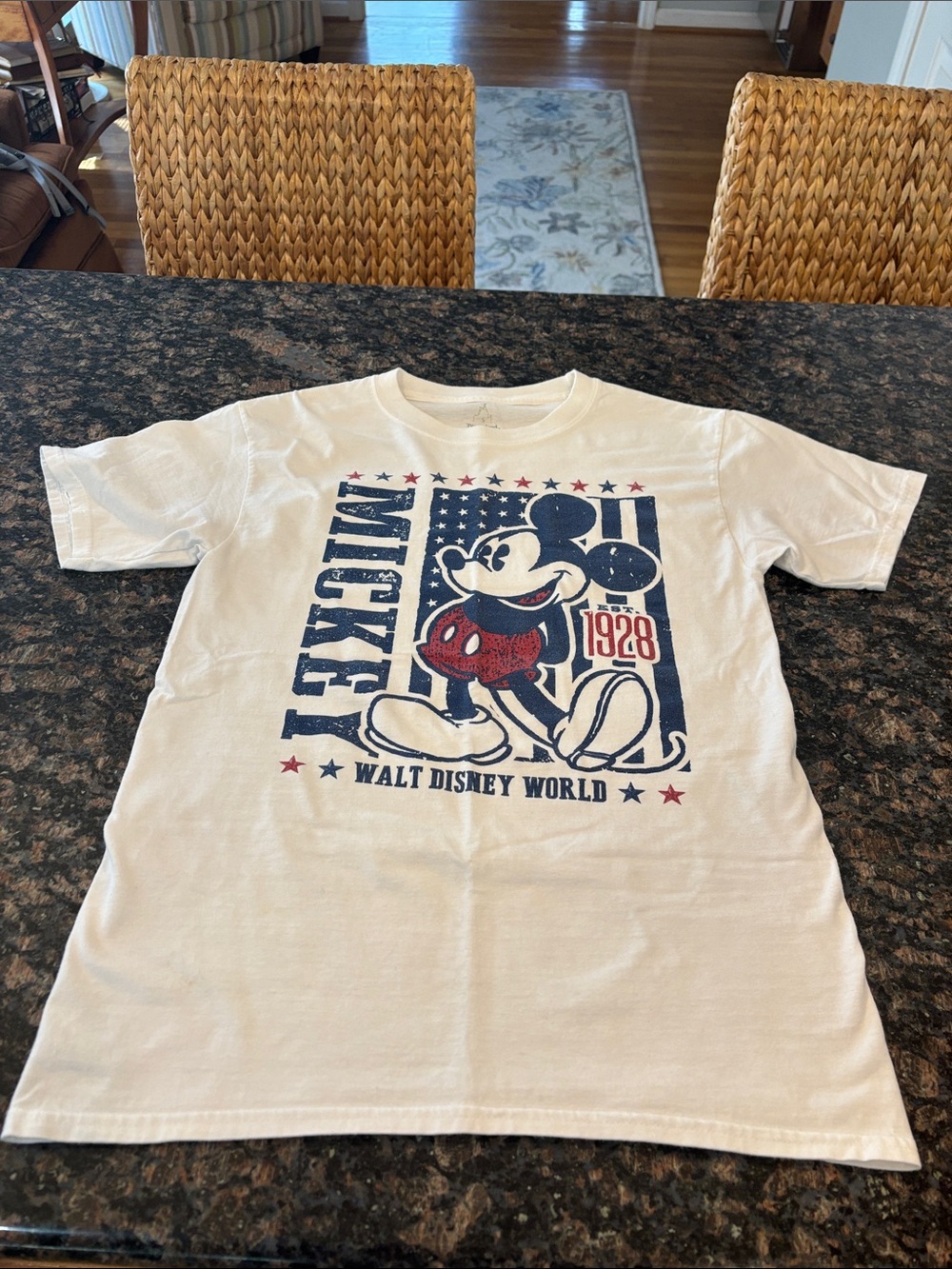 Disney Mickey Mouse Patriotic Graphic Tee